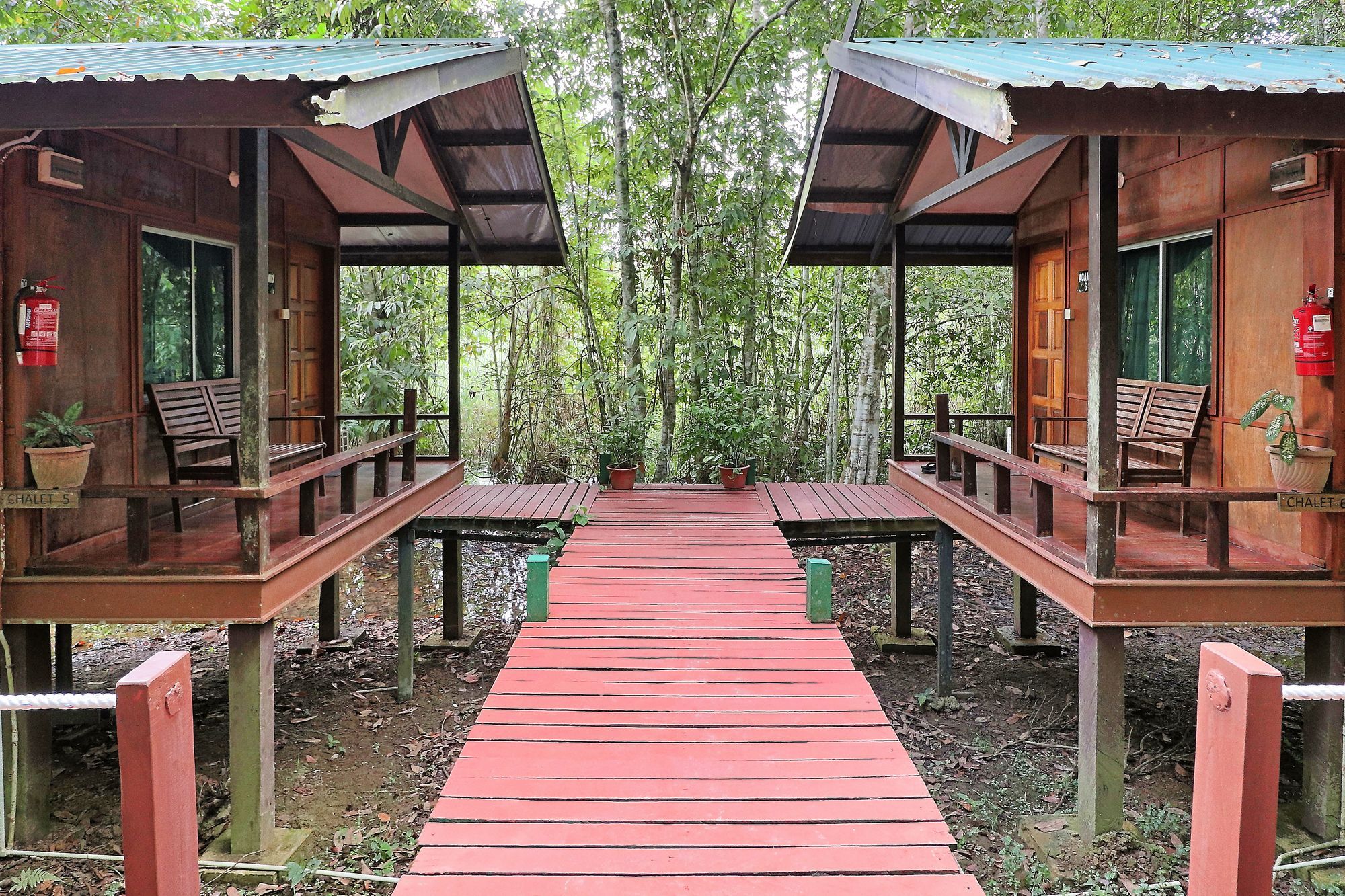 Tanini Kinabatangan Formerly Known As Nature Lodge Kinabatangan Bilit Esterno foto