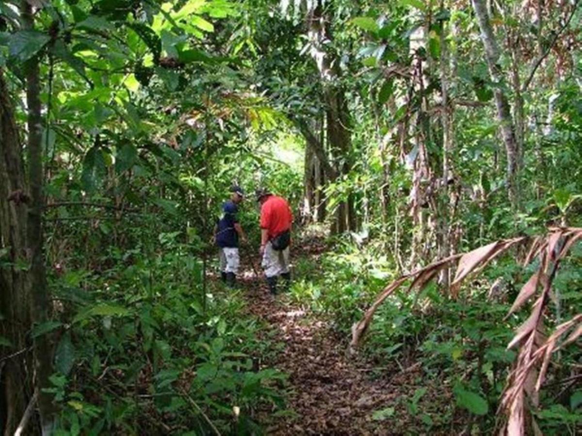 Tanini Kinabatangan Formerly Known As Nature Lodge Kinabatangan Bilit Esterno foto